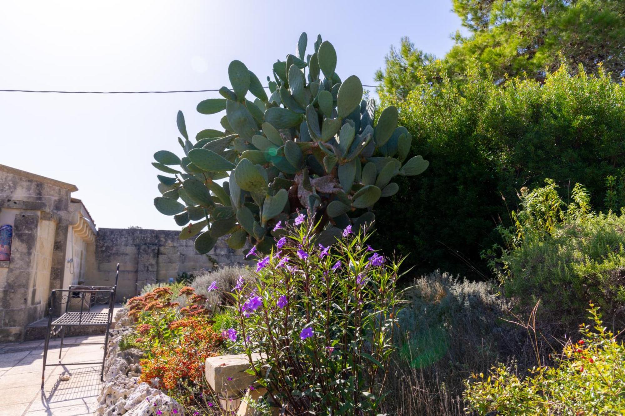 בורגאנייה Masseria Caliani מראה חיצוני תמונה